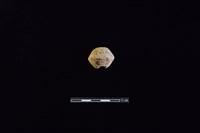 陶紡輪藏品圖，第1張